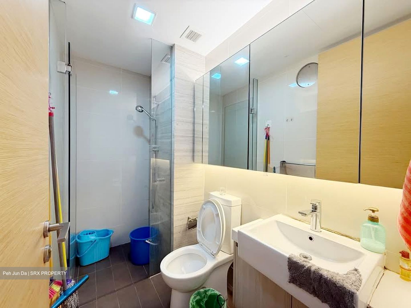Hedges Park Condominium (D17), Condominium #530749091